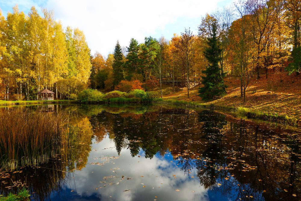 Фотография автора Elvijs Kalnins