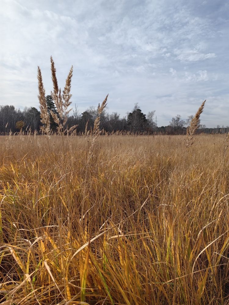 Photograph by Римма Бобрякова