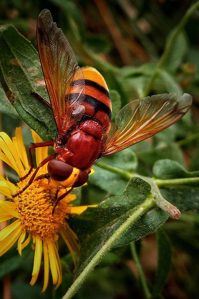 Фотография автора Mahdi Mohammadi