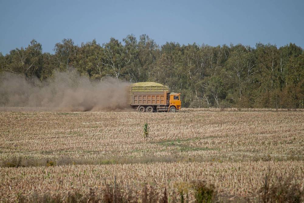 Photograph by Владислав Капанов