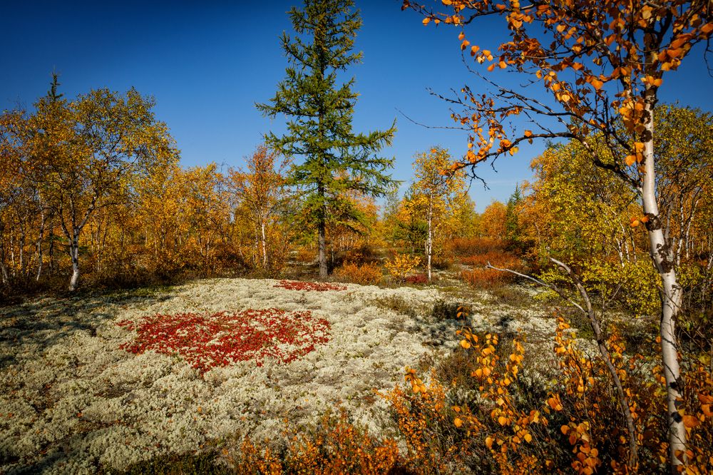 Photograph by Евгений Кужилев
