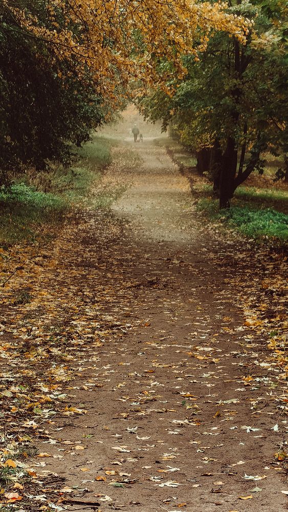 Фотография автора Елена Маслова