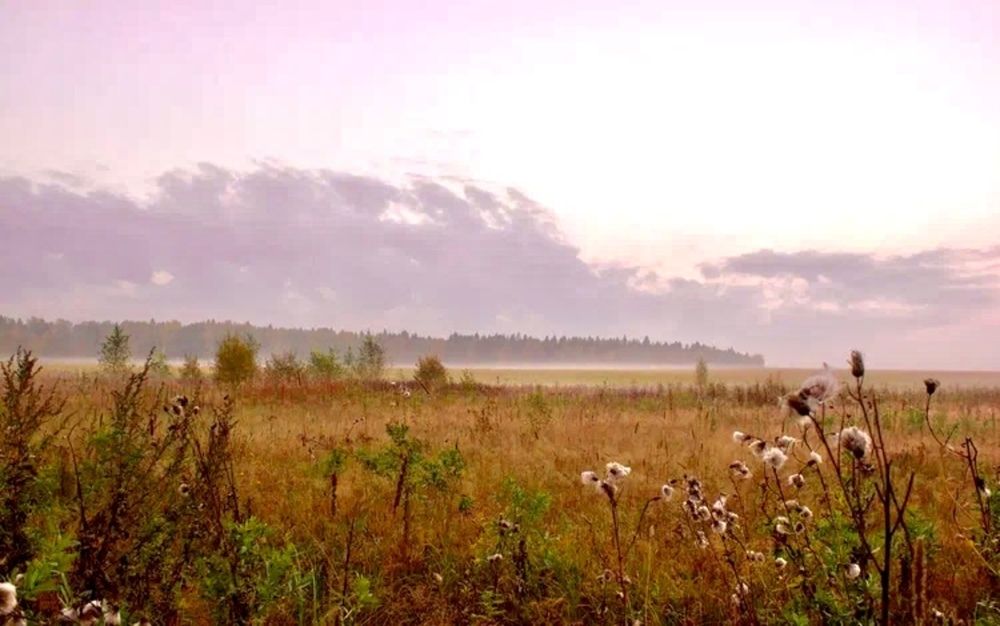 Photograph by Olga Varlamova