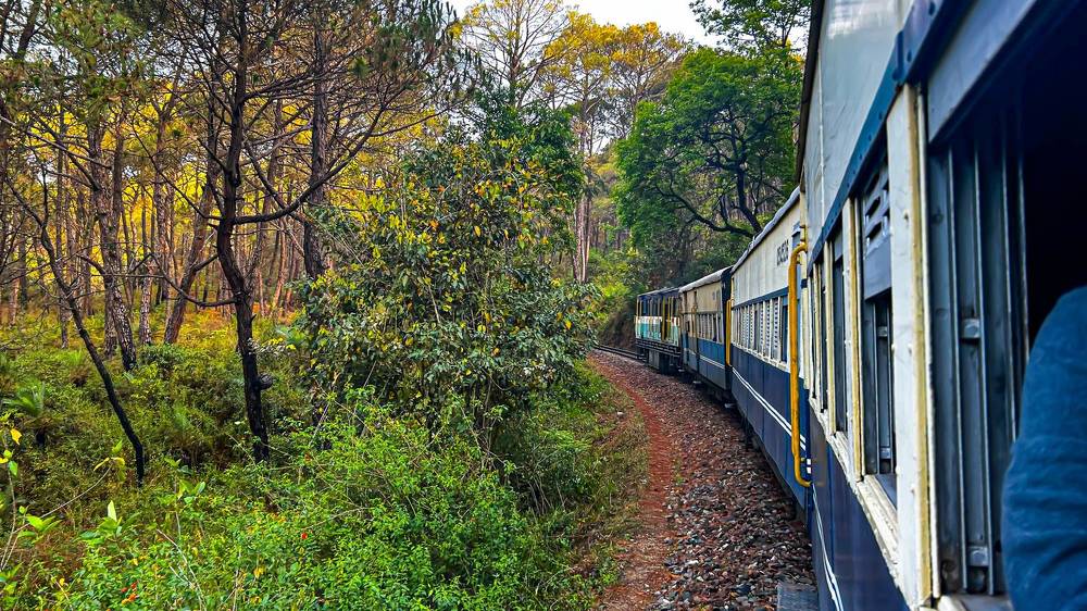 Фотография автора savitri Rawat