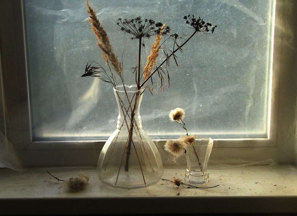 Photograph by Лада Кляузина