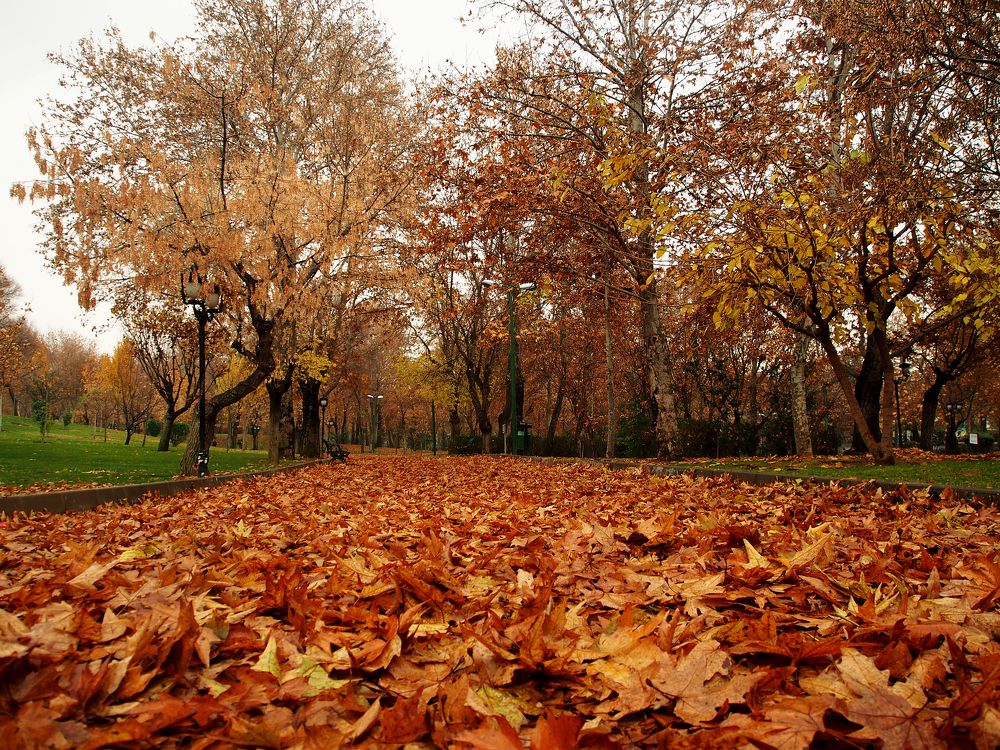 Photograph by Abdolreza Aleagha