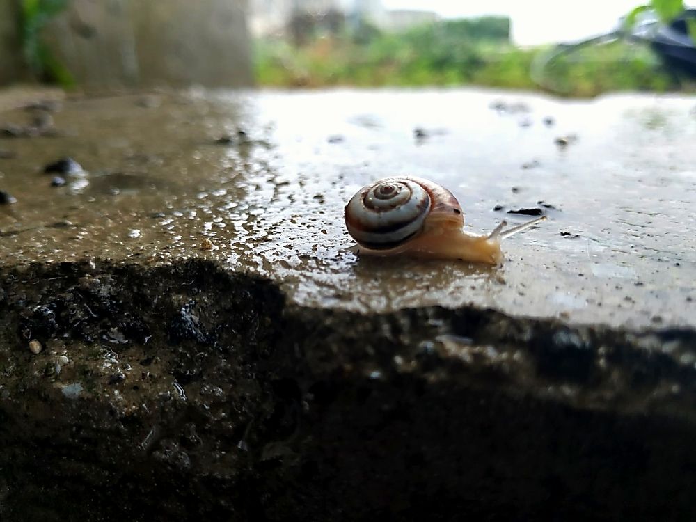 Photograph by Ильватан