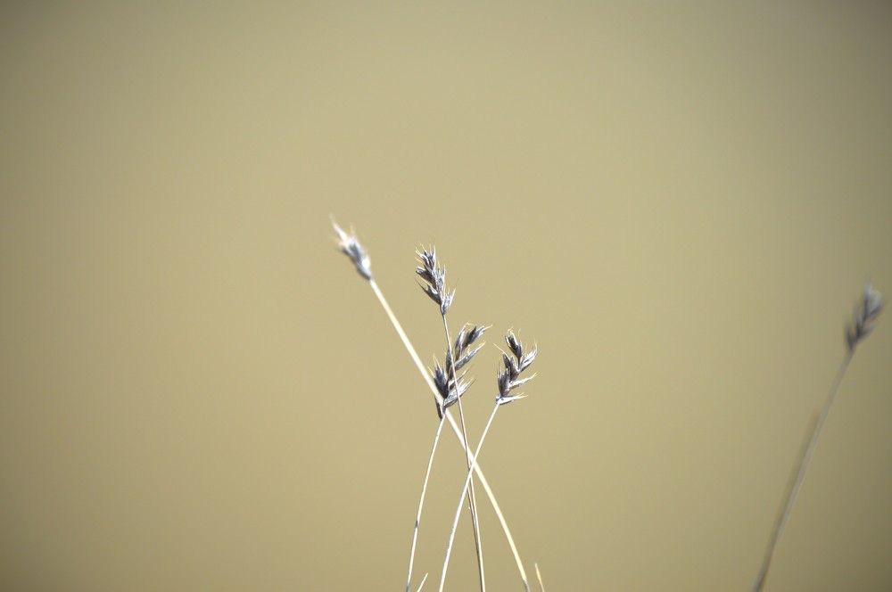 Photograph by Маринова Марина