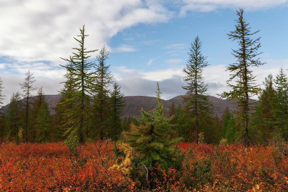 Photograph by Ирина Ульянова