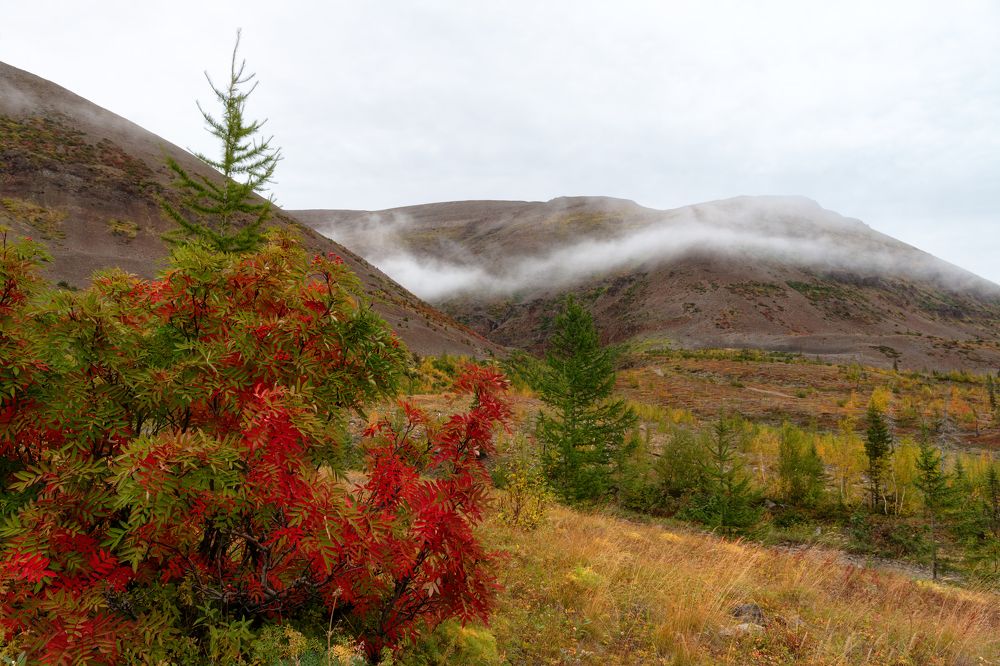 Photograph by Ирина Ульянова