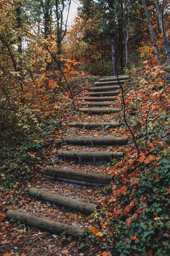 Photograph by Христина Сергейчик