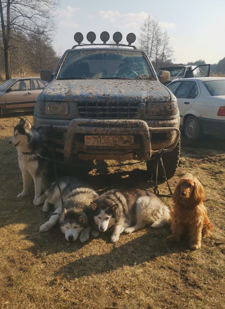 Photograph by Юрий Хортов