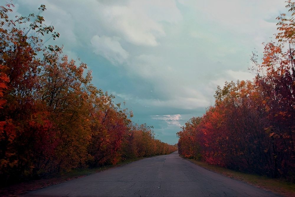 Photograph by Ирина Шибитова