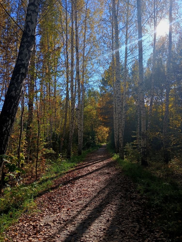 Photo #11069299
