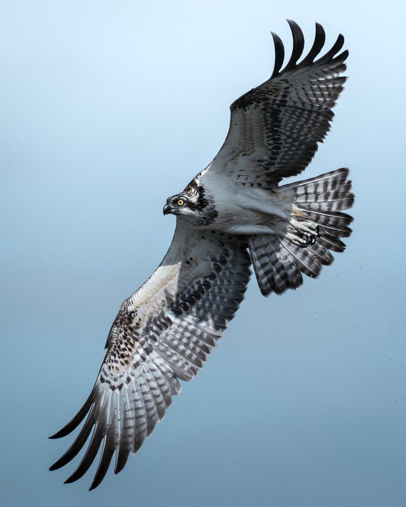 Photograph by Поляков Михаил