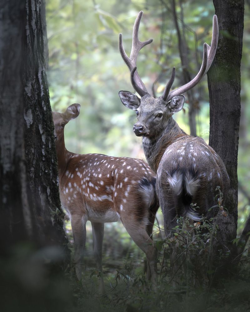 Photograph by Поляков Михаил