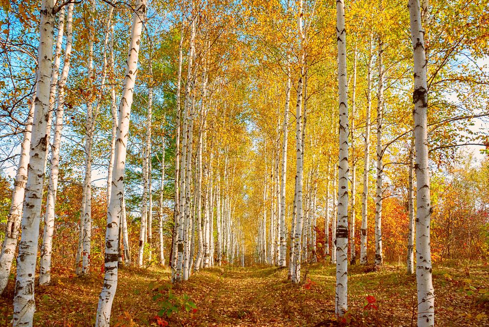 Photograph by Андрей Фролов