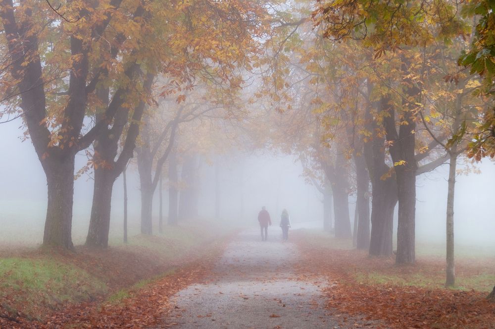 Photograph by Nikolay Isaakov