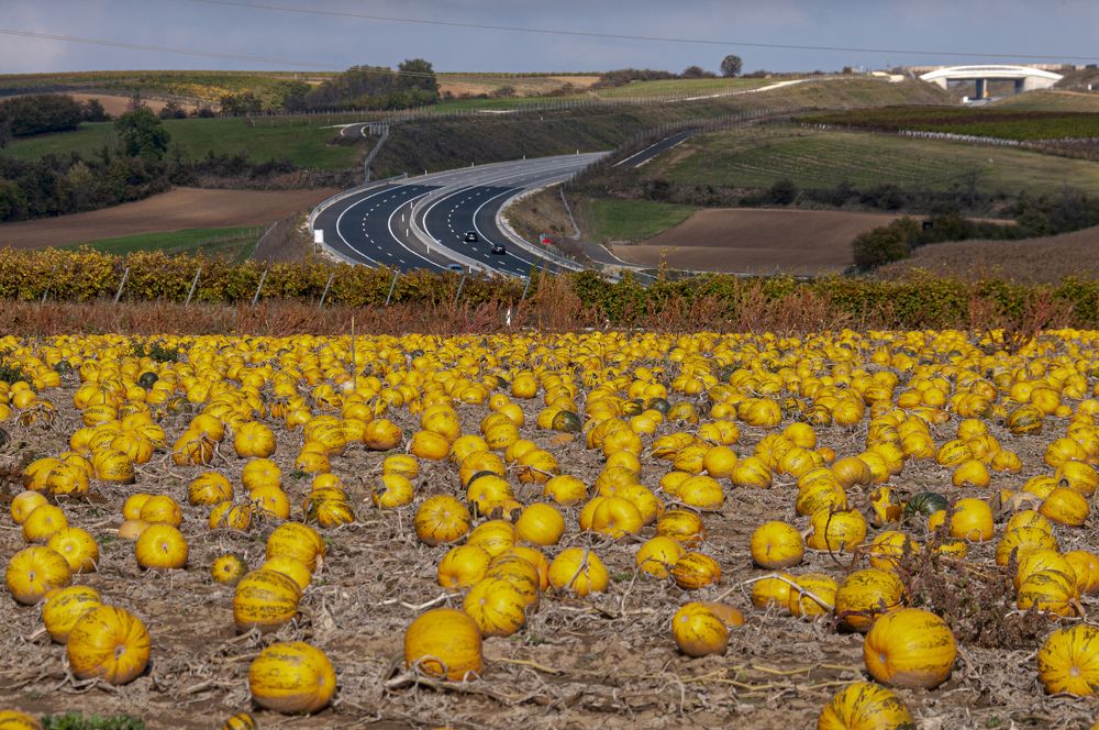 Photograph by Nikolay Isaakov