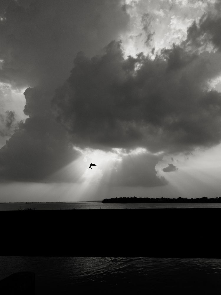 Photograph by Biswanath rout