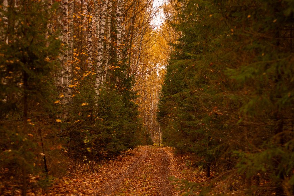 Photograph by Михаил Костыря