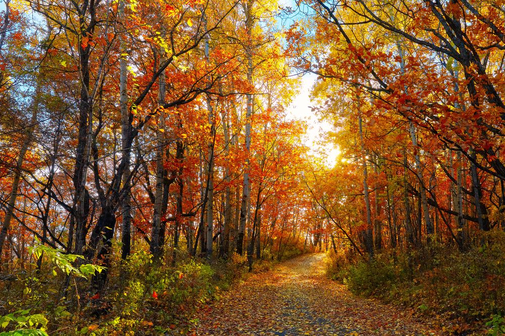 Photograph by Андрей Фролов