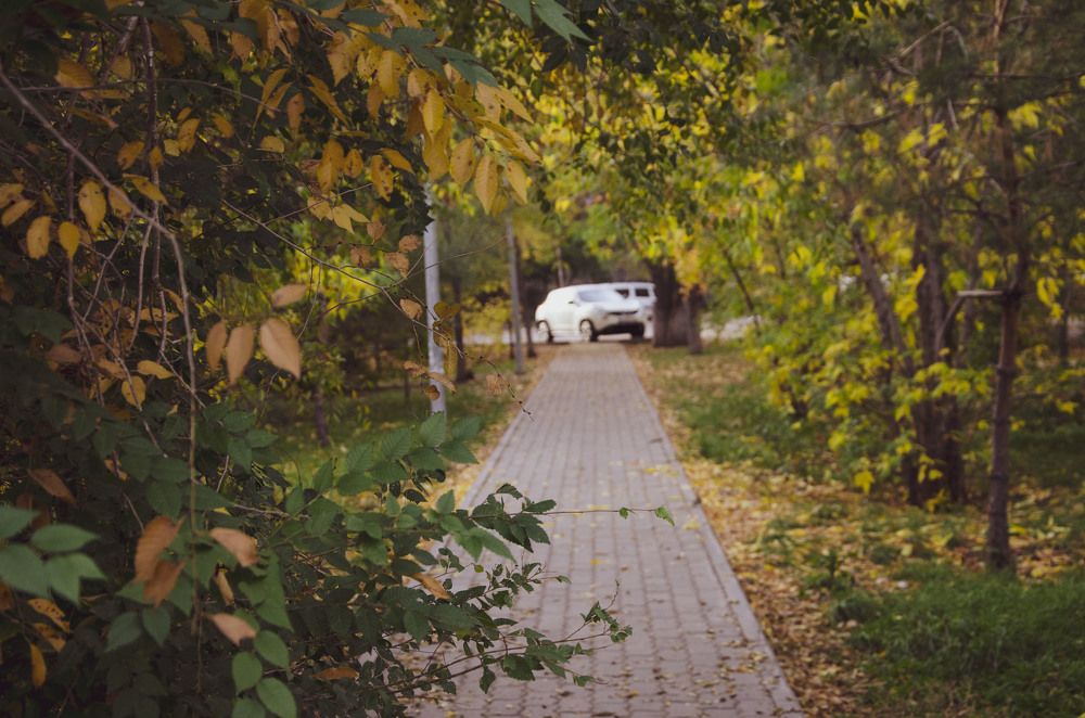 Photograph by Ульяна Бедрицкая