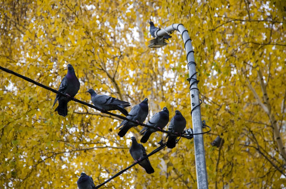 Photograph by Ульяна Бедрицкая