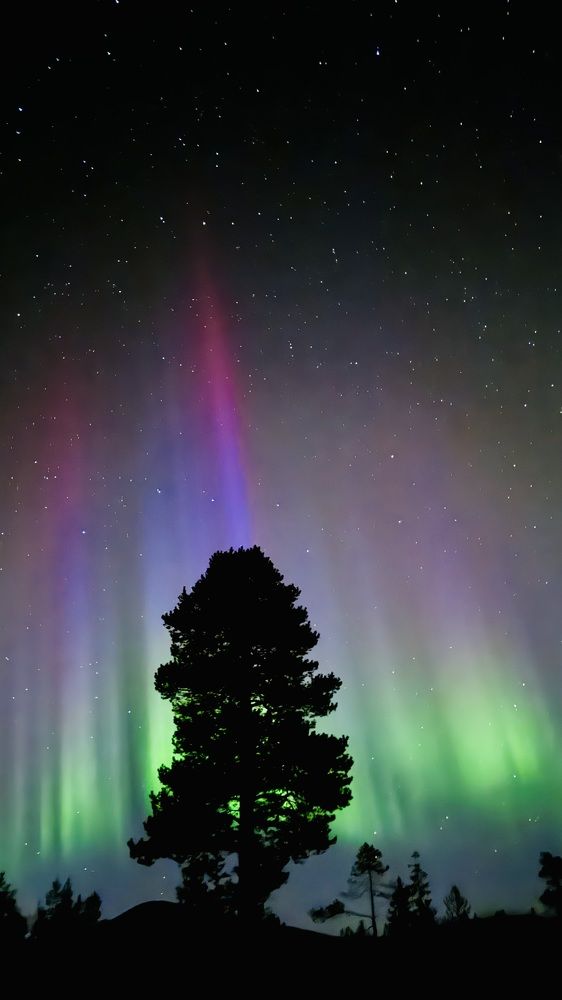 Photograph by Виктория Ярина