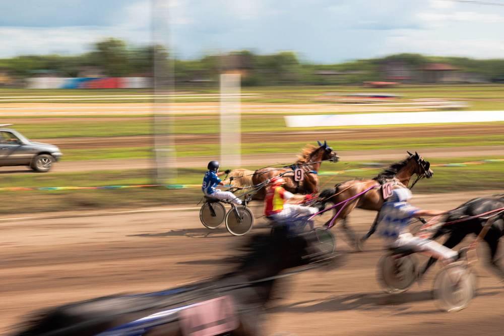 Фотография автора Ирина Гриценко