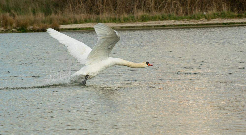 Photograph by Алексей Мордвишин