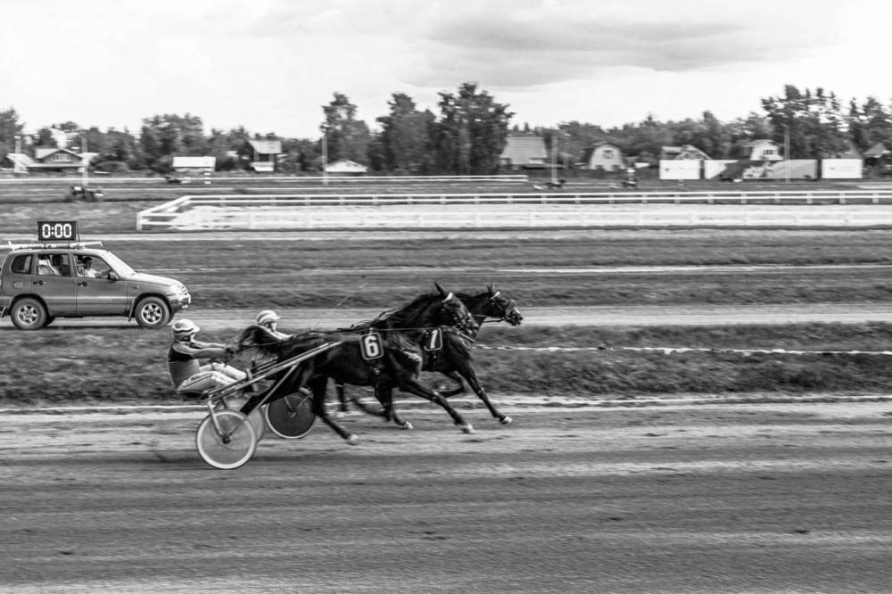 Фотография автора Ирина Гриценко