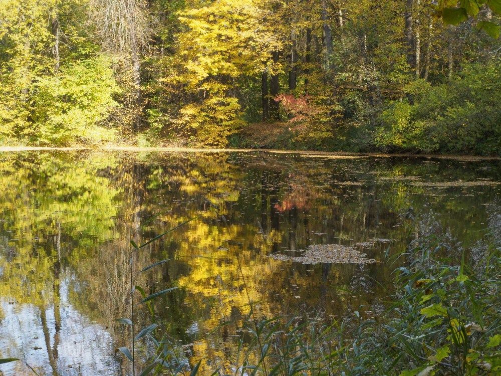 Photograph by Борис Полтавец