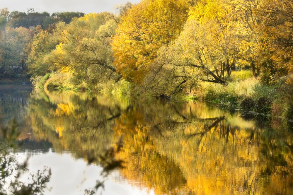 Photograph by Шруб (Беляева) Татьяна