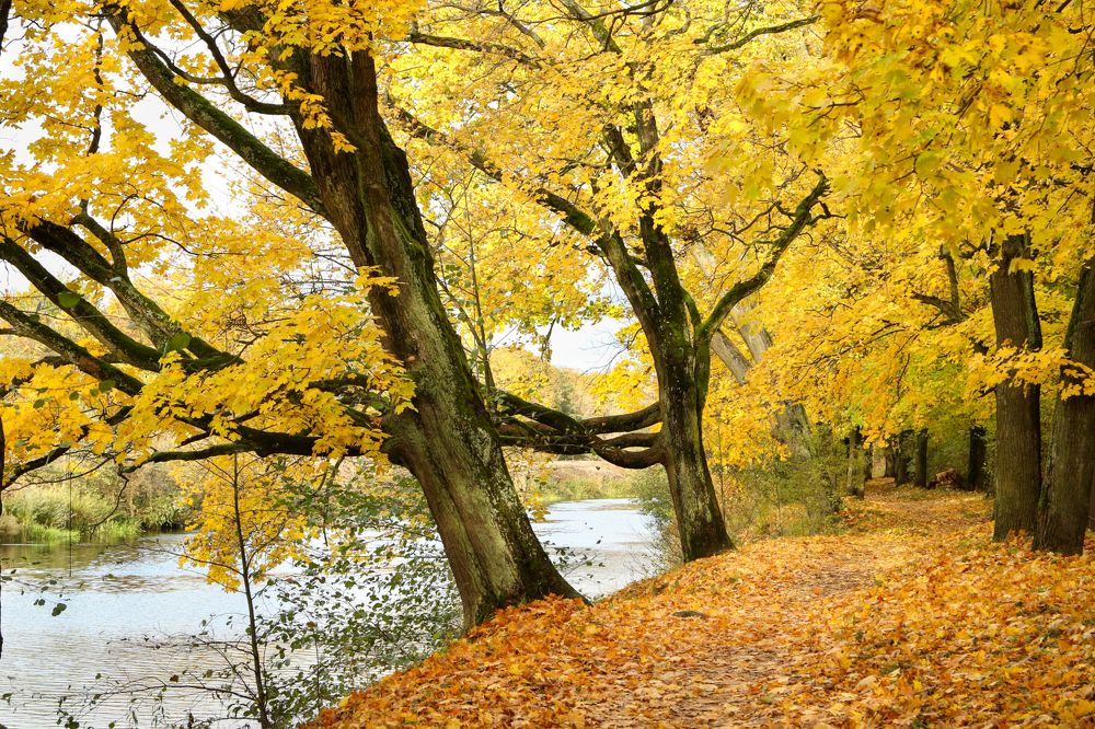 Photograph by Шруб (Беляева) Татьяна