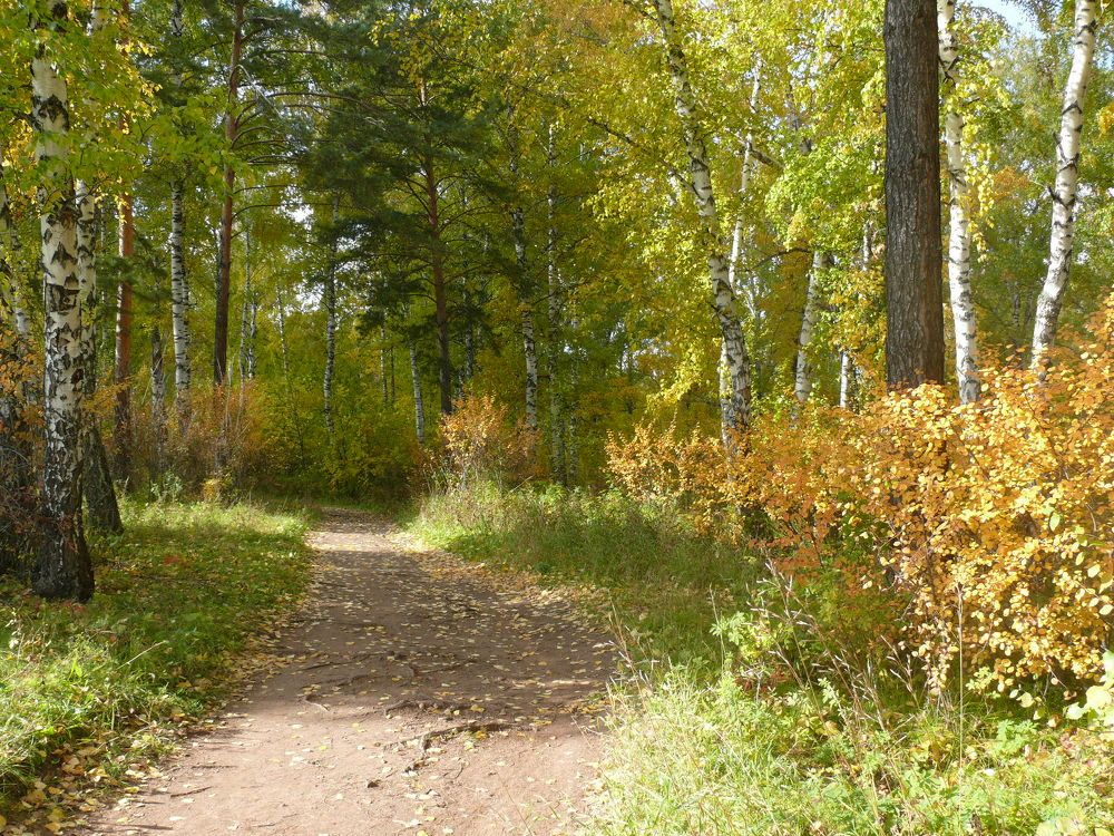 Photograph by Людмила Федорчак