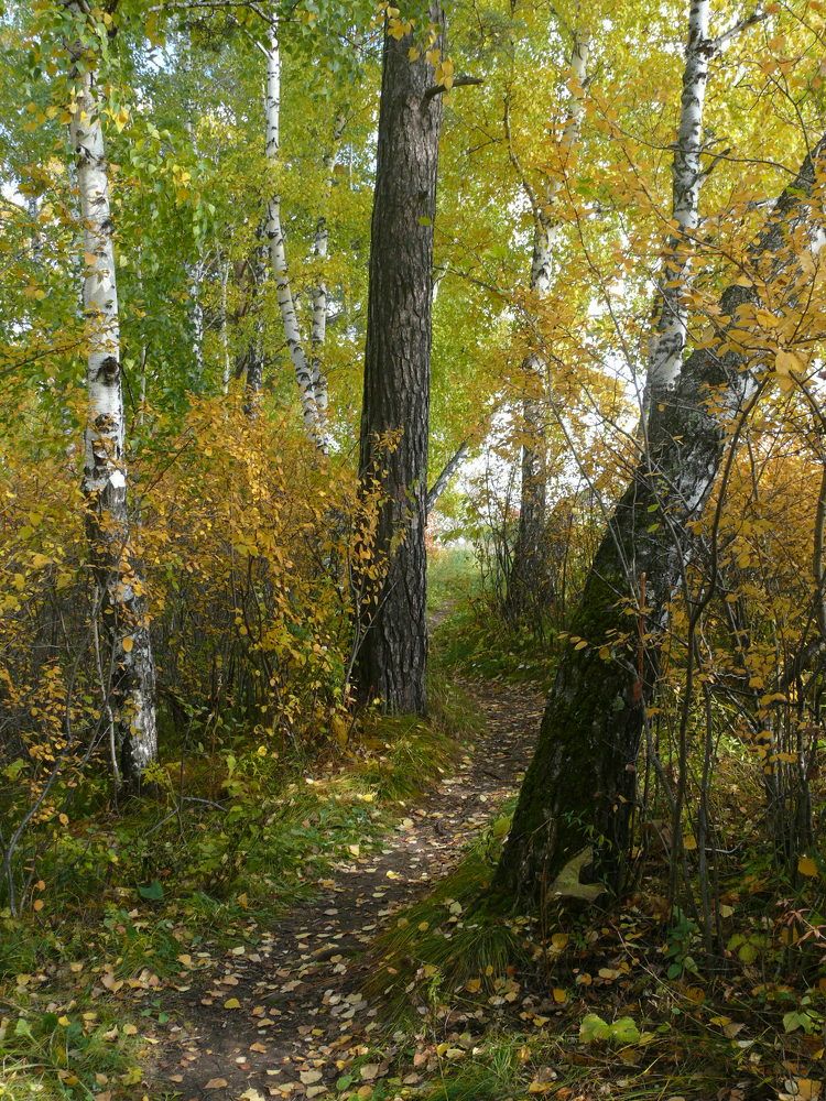 Photograph by Людмила Федорчак