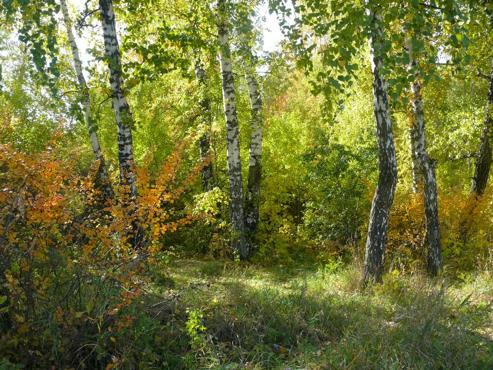 Photograph by Людмила Федорчак