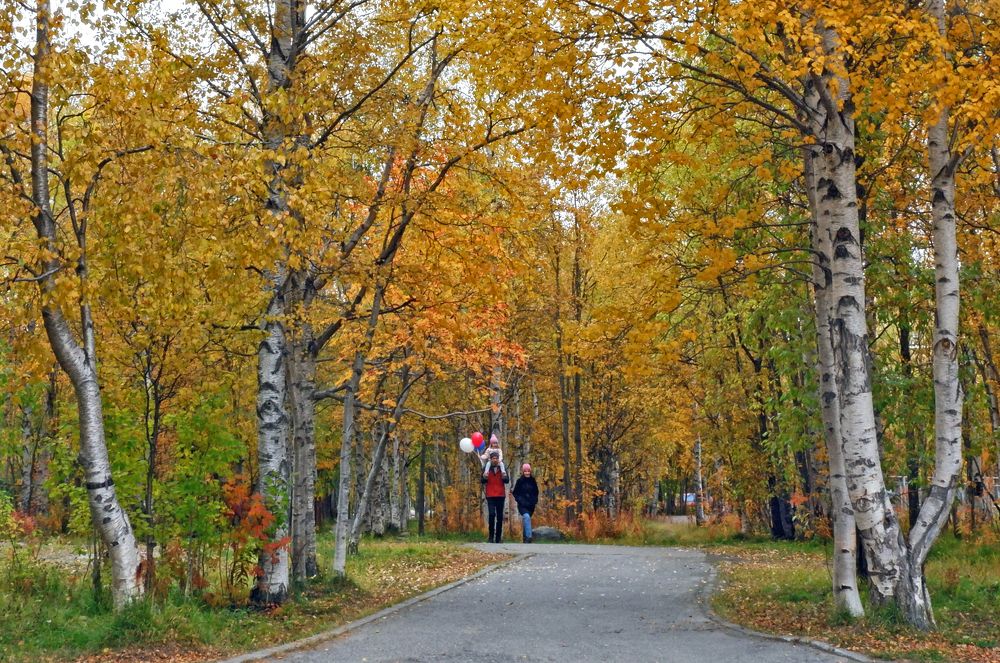 Прогулка в парке.