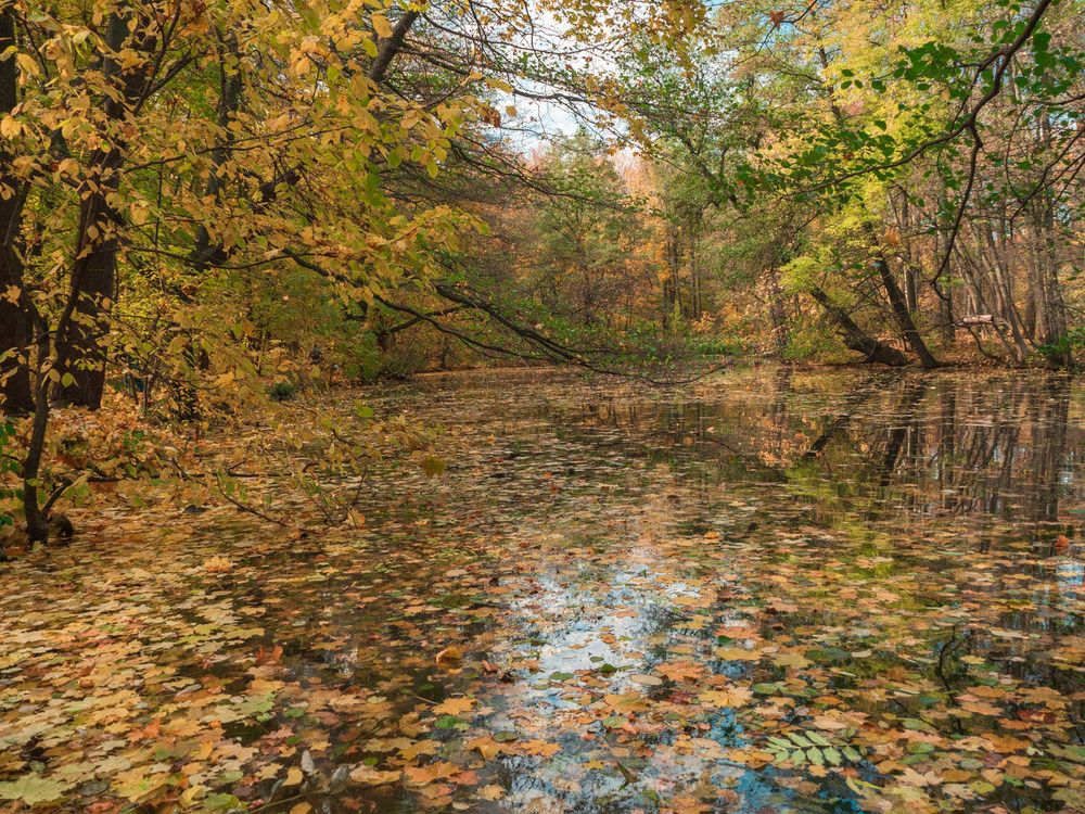 Photograph by Борис Полтавец