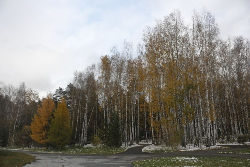 Photograph by Сергей Лапин
