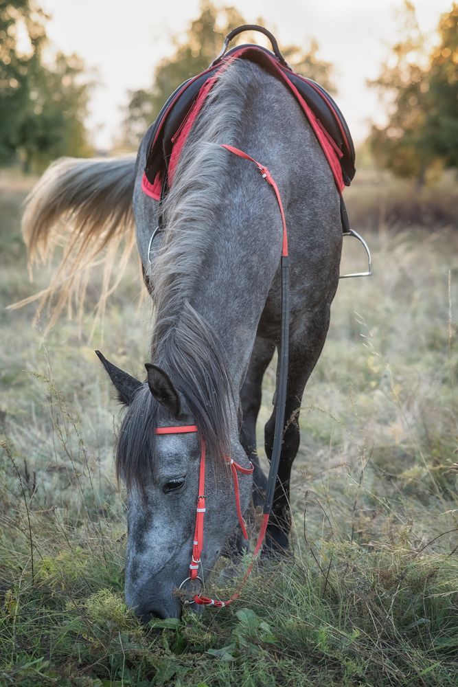 Photograph by Виктория Романенко