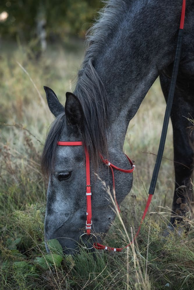 Photograph by Виктория Романенко