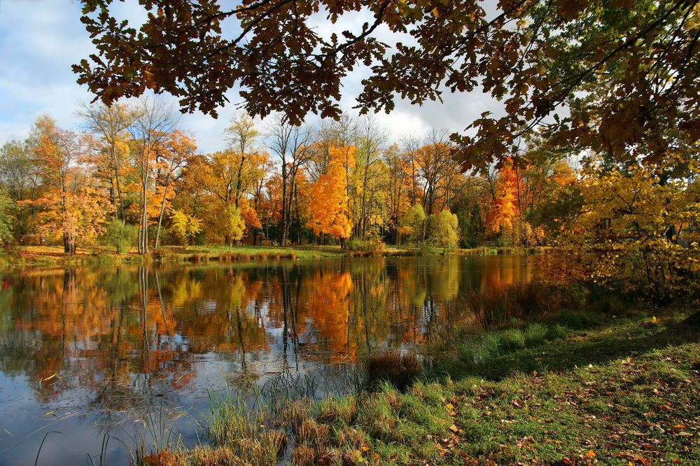 Яркая осень