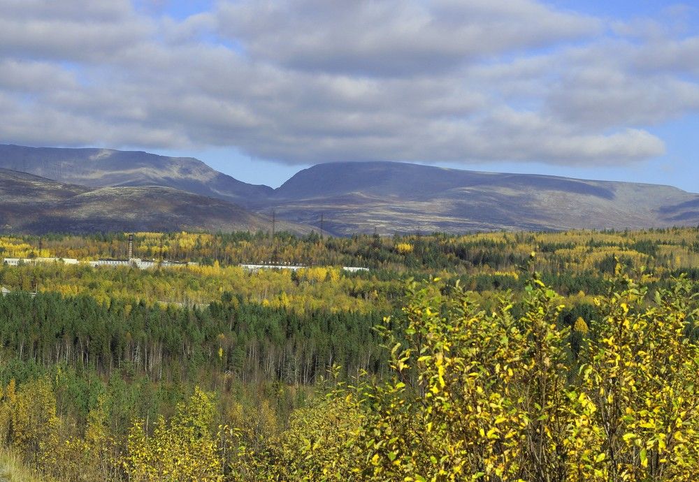 Photograph by Светлана Зотова