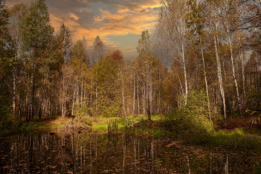 Photograph by Любовь Бусова