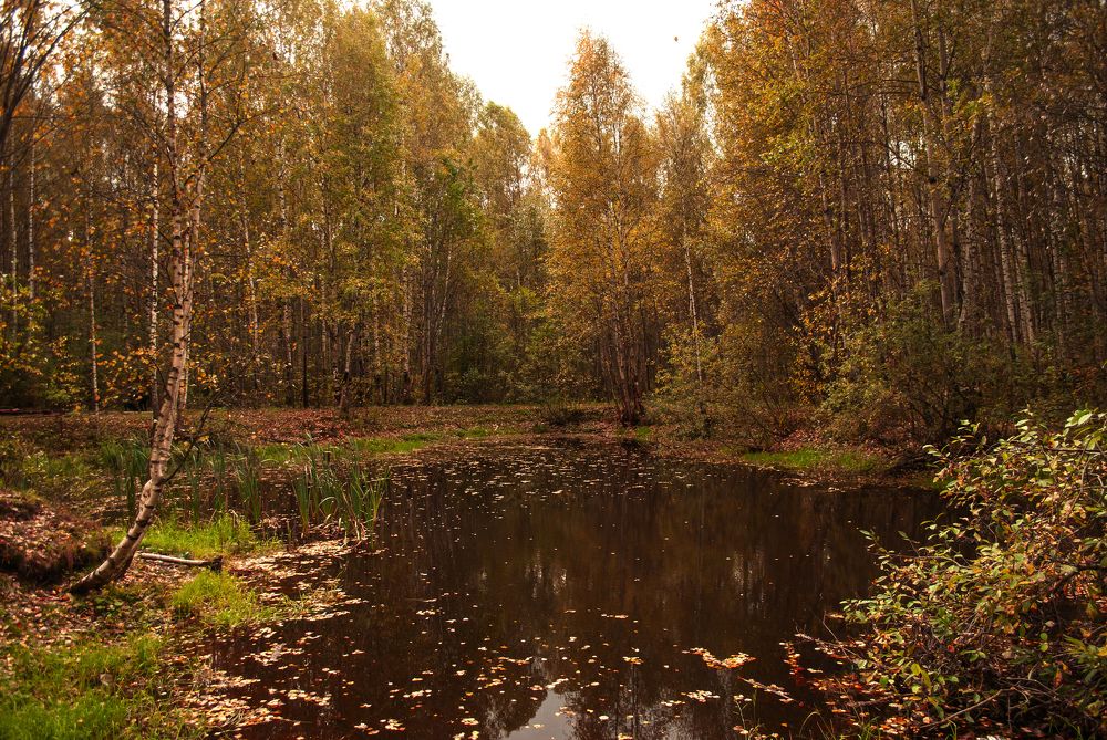 Photograph by Любовь Бусова