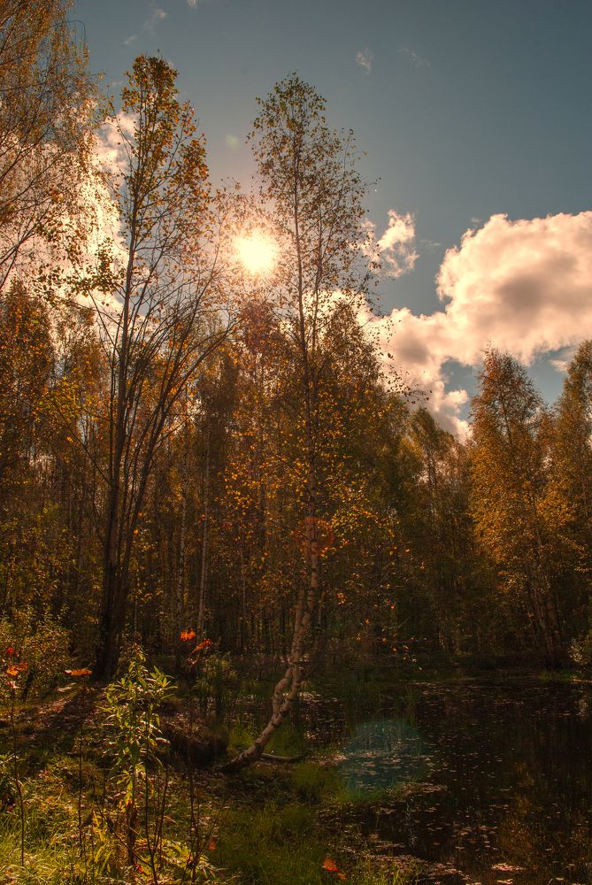 Photograph by Любовь Бусова