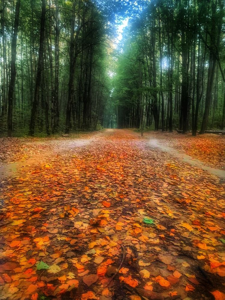 Photograph by Елена Егорова