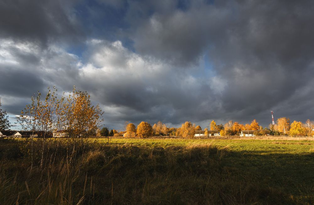 Photograph by Зеленько Дмитрий